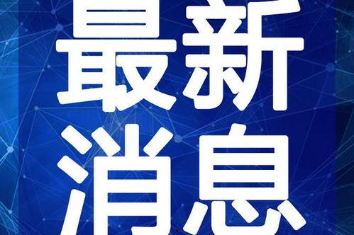 缅邦矿业爆料最新消息视频,揭秘神秘矿业动态
